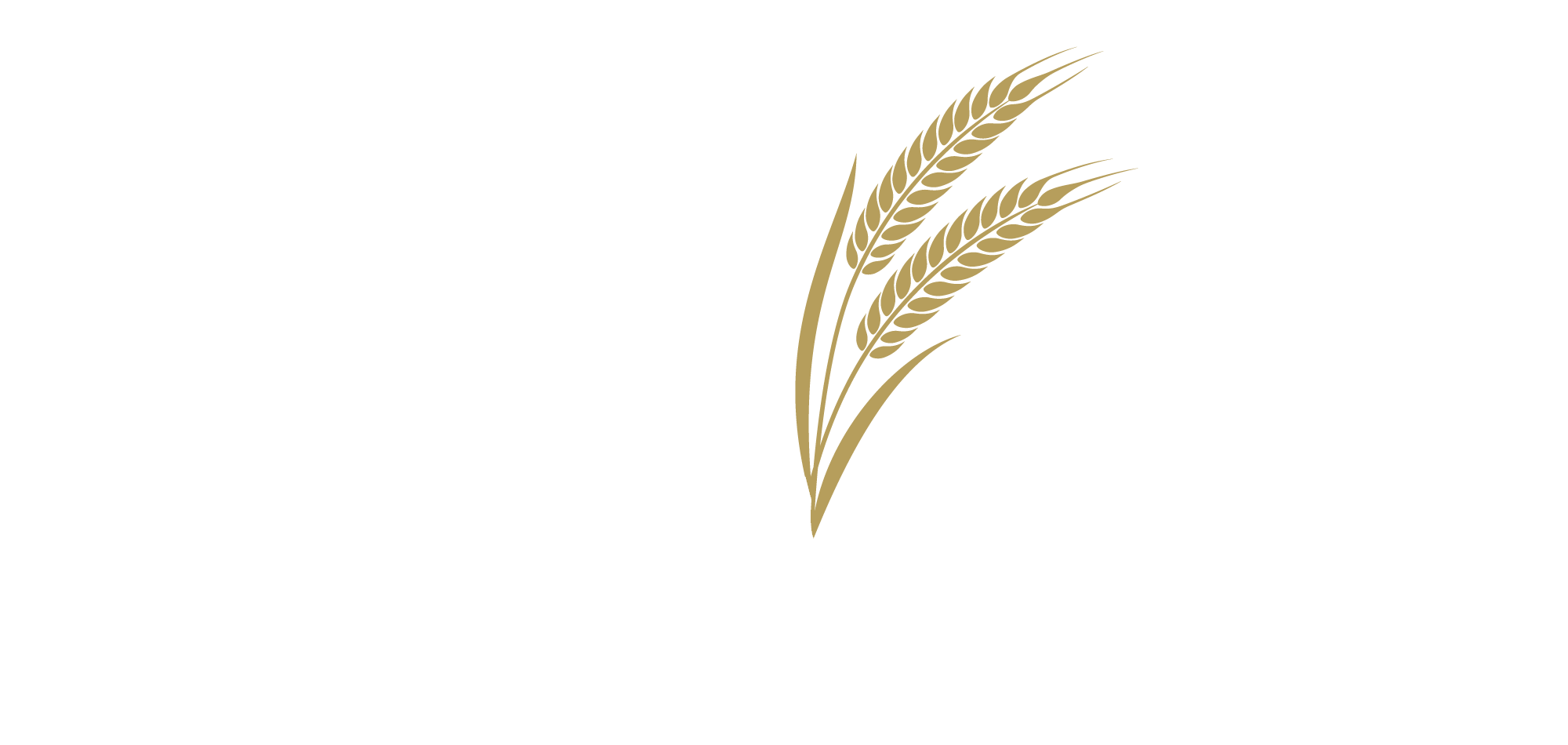 Tully Mill Cottages